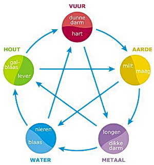 5 transformaties