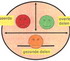 Trauma opstellingsschema